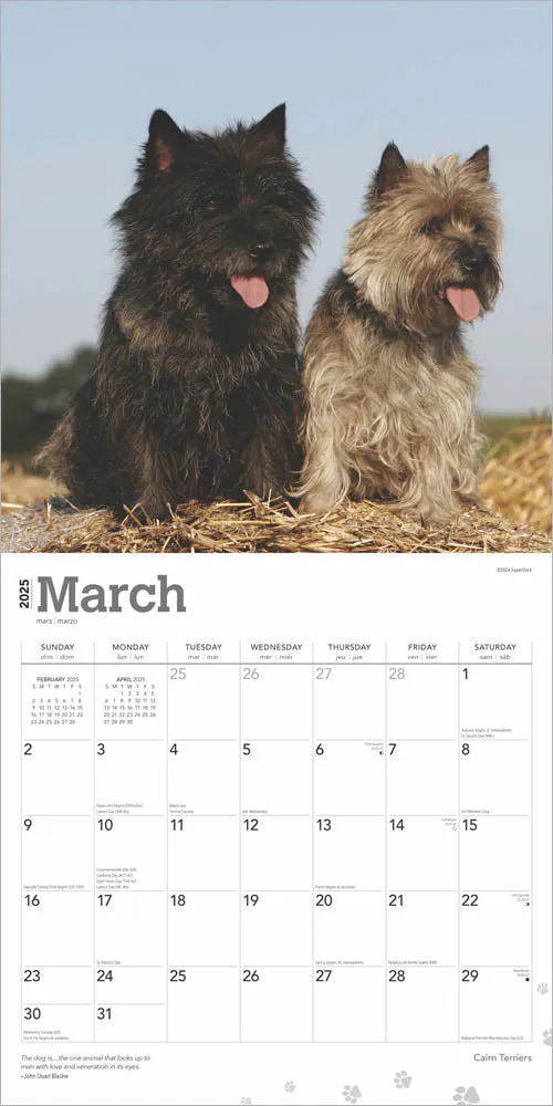 2025 Cairn Terriers Wall Calendar