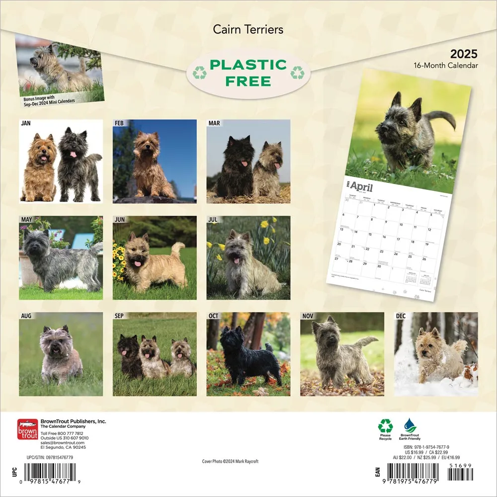 2025 Cairn Terriers Wall Calendar