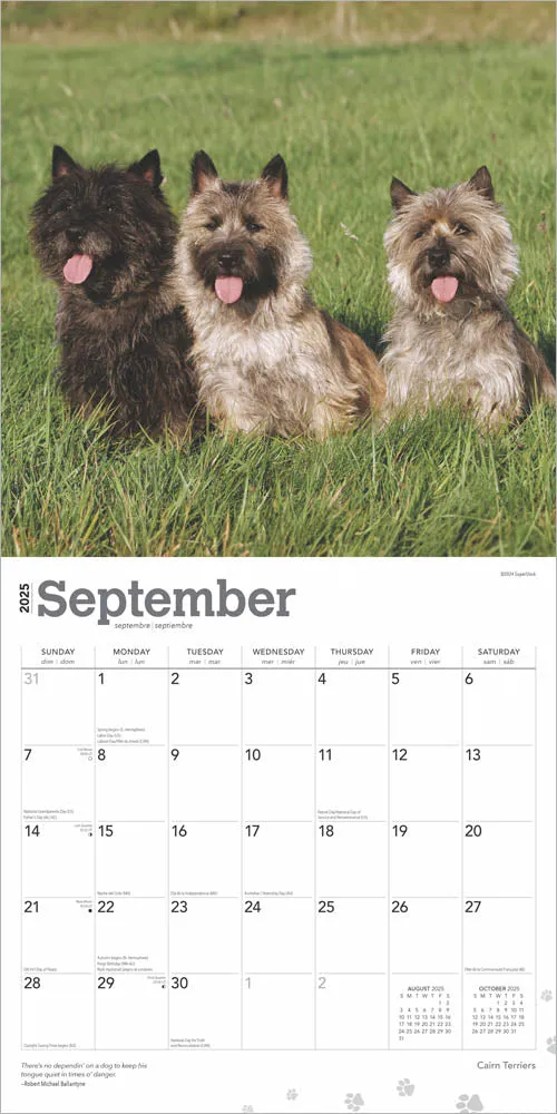 2025 Cairn Terriers Wall Calendar