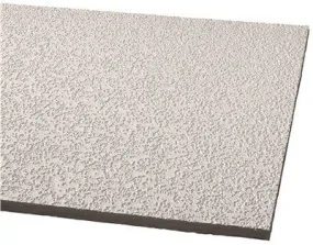 Armstrong Acoustical Ceiling Panel 2910A Random Fissured Humiguard Plus Square Lay In' 24X48X5/8 In.' 16 Per Case