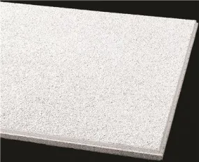 Armstrong Acoustical Ceiling Panel 589B Cirrus Humiguard Plus Beveled Tegular' 24X24X3/4 In.' 12 Per Case