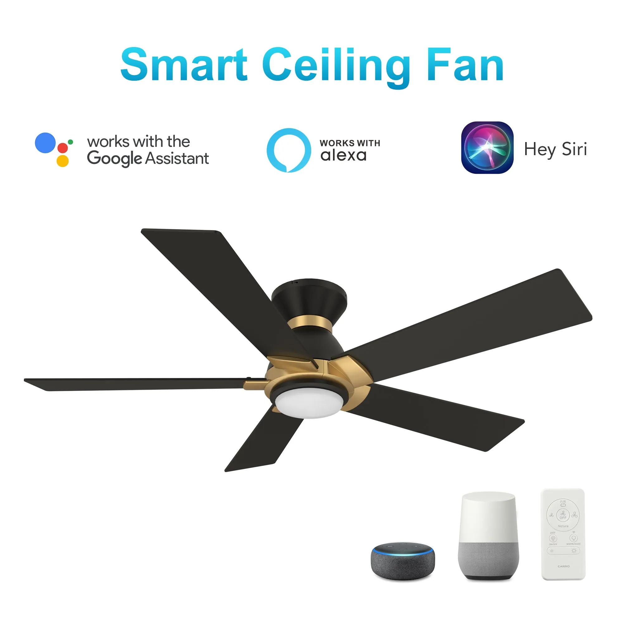 ASCENDER 52 inch 5-Blade Flush Mount Smart Ceiling Fan with LED Light & Remote Control - Black/Black (Gold Detail)