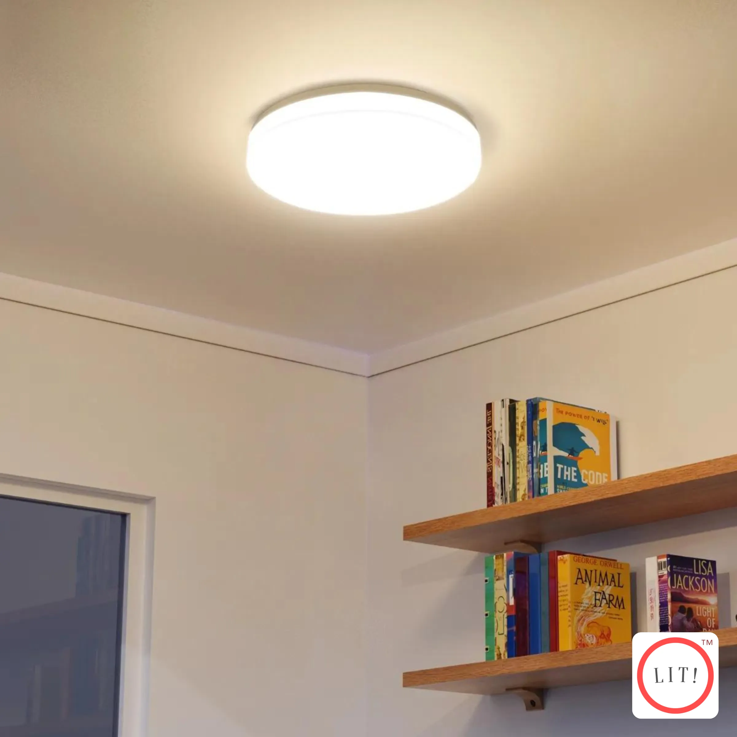 Designer Ceiling Mounted Light