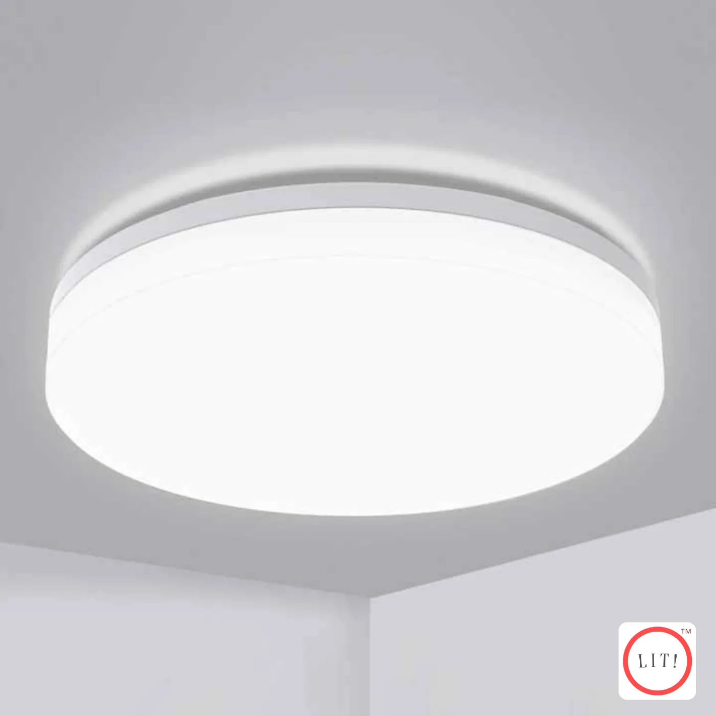 Designer Ceiling Mounted Light