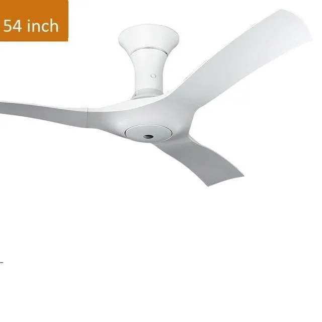 Kaiser Ceiling Fan