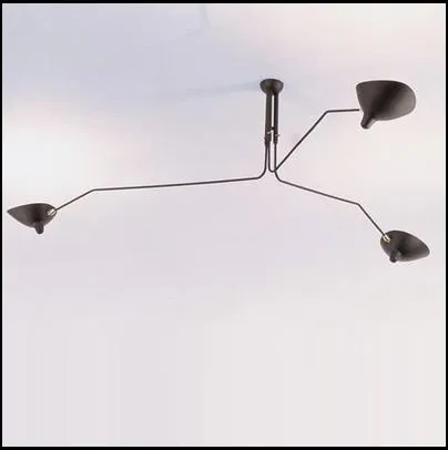 LUKAS Pondskater Ceiling Lamp