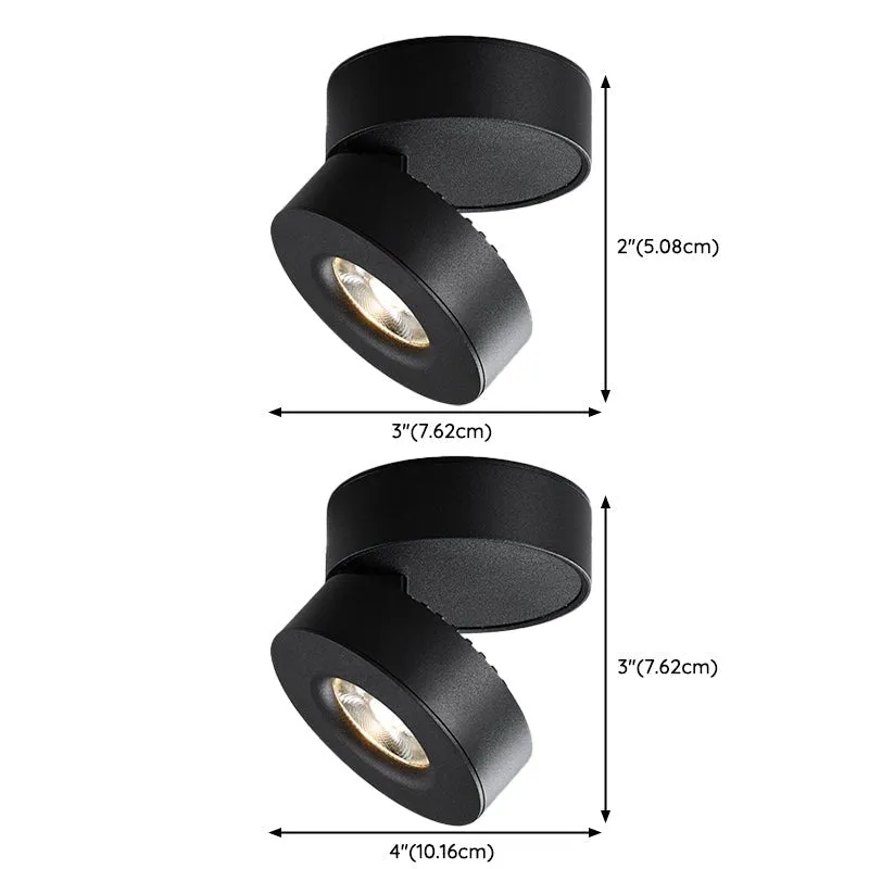 Lyric Adjustable Surface Downlight