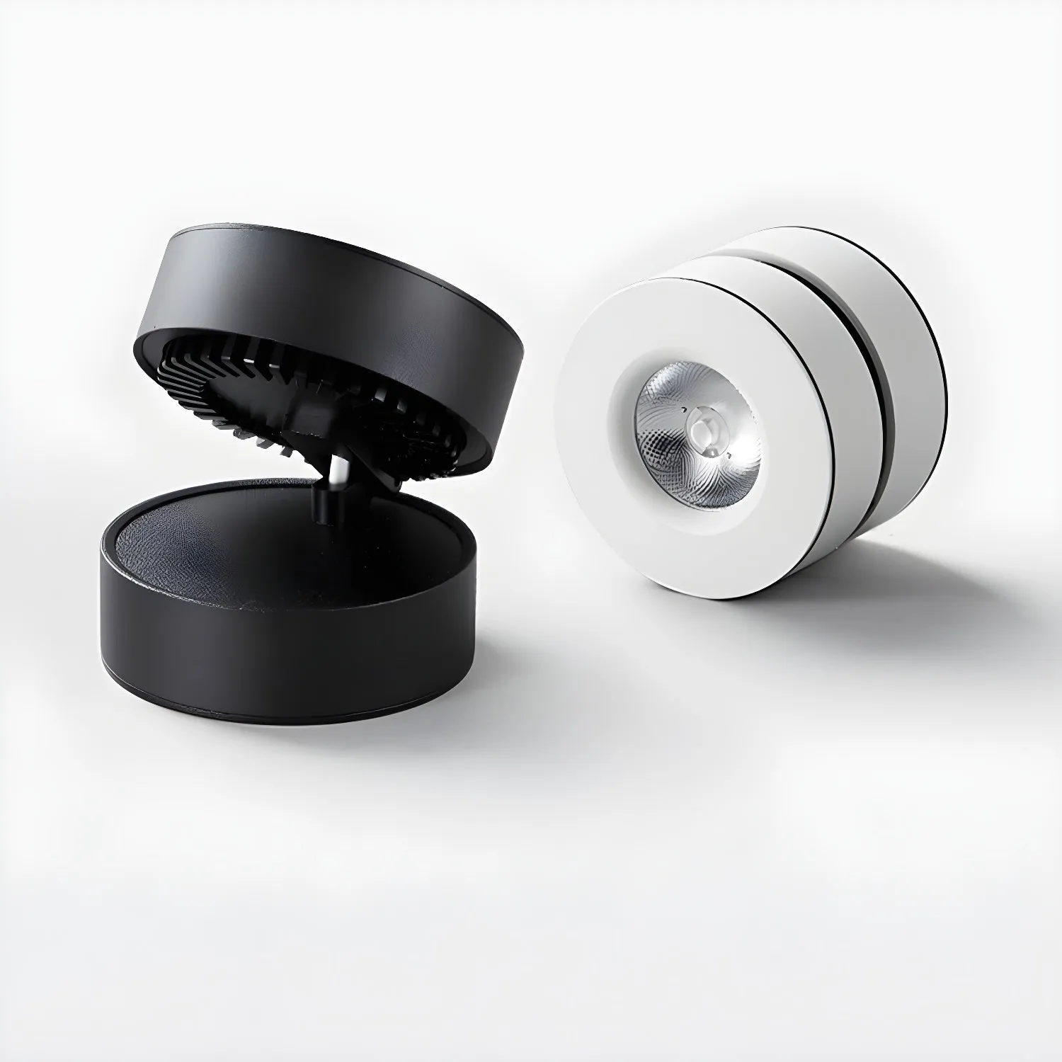 Lyric Adjustable Surface Downlight