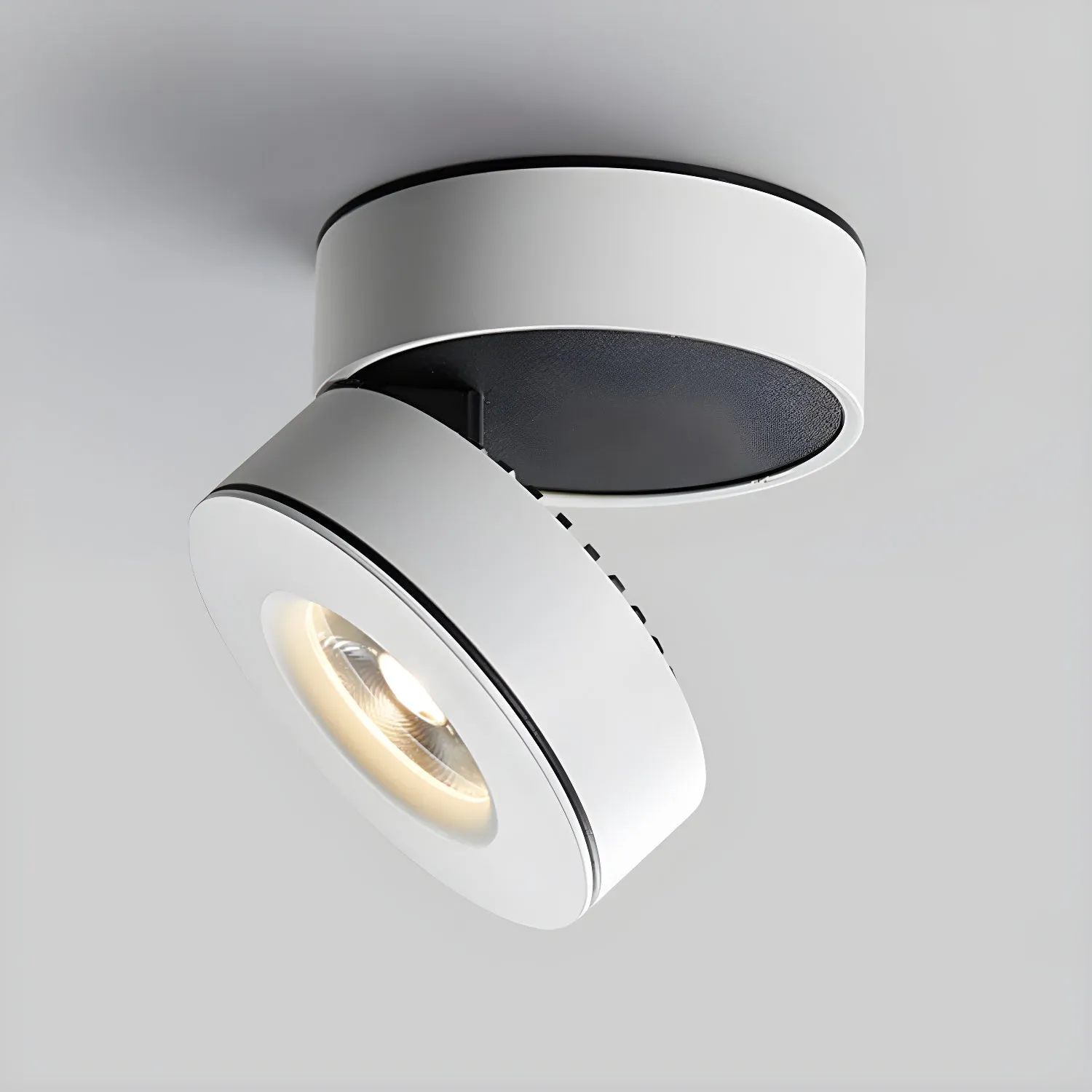 Lyric Adjustable Surface Downlight