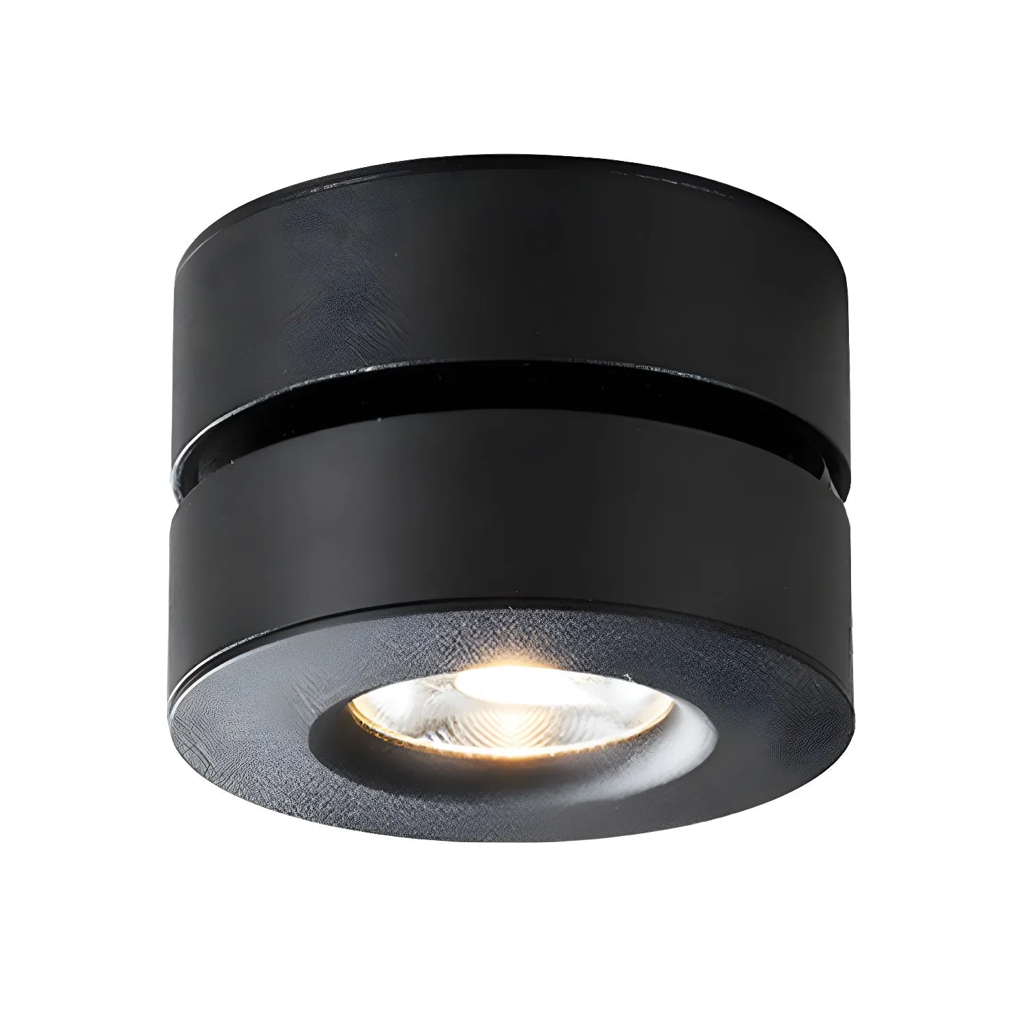 Lyric Adjustable Surface Downlight