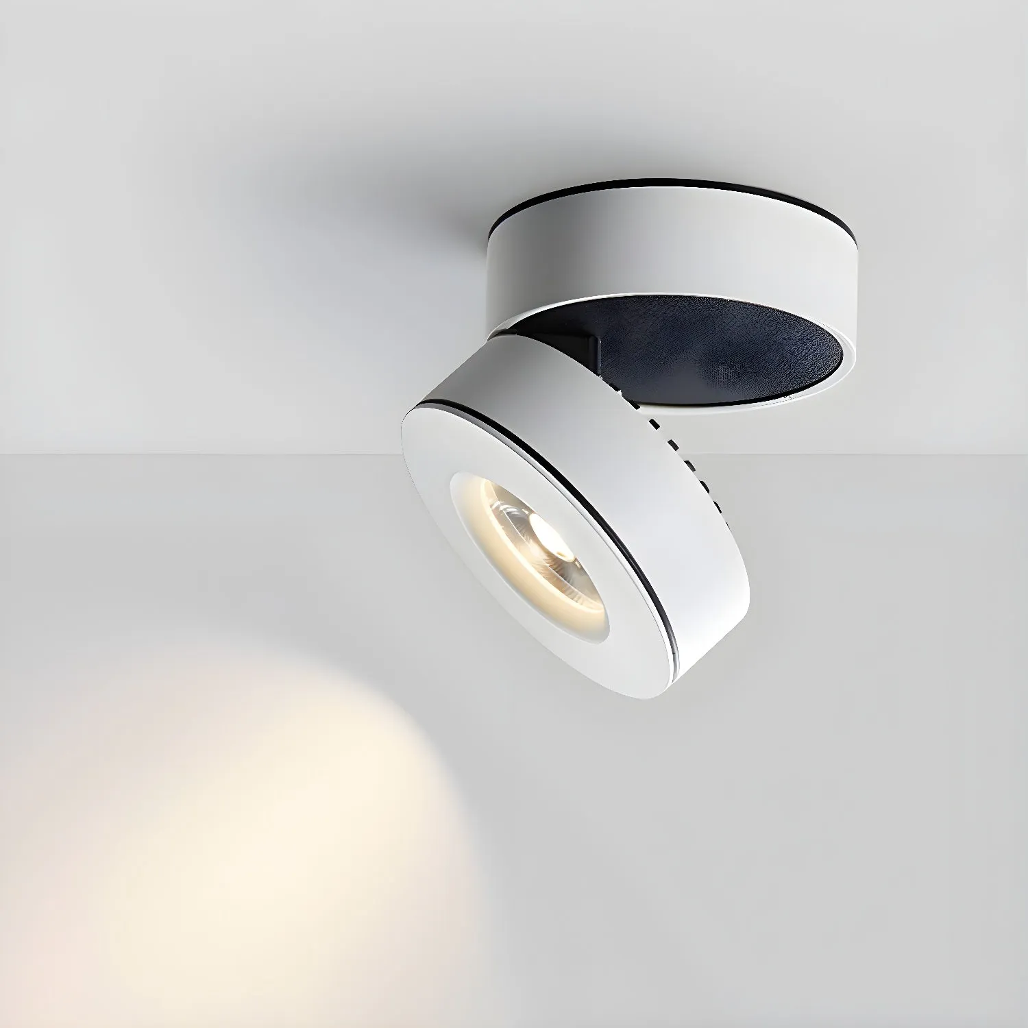 Lyric Adjustable Surface Downlight