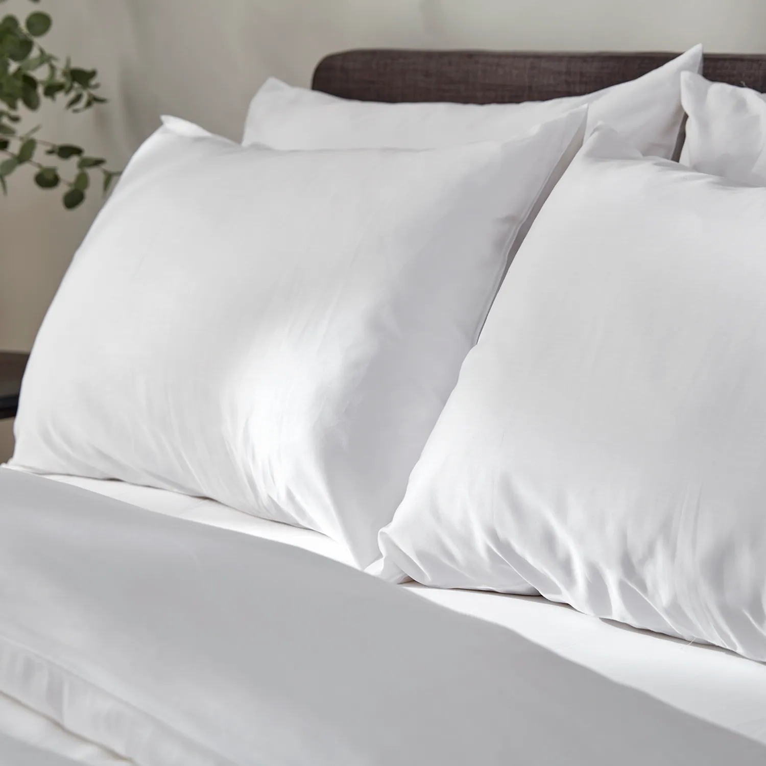 ORGANIC COTTON SATEEN PILLOWCASE PAIR