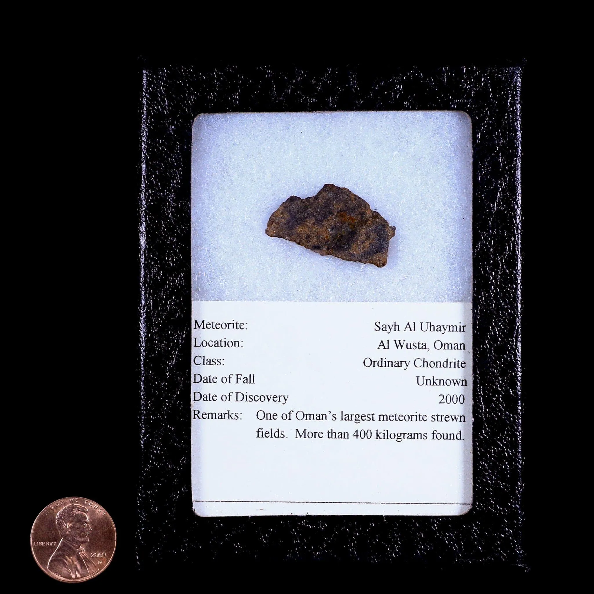 Sayh Al Uhaymir Meteorite Specimen Riker Display Al Wusta, Oman Meteorites 4 Grams