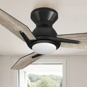 Vant Flush Mount Ceiling Fan with Light and Remote 44 inch